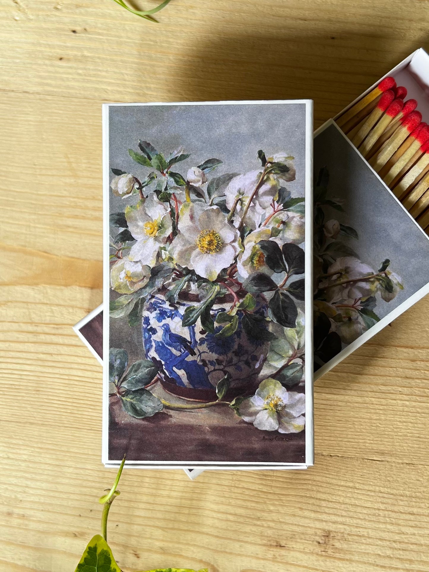 CAJA CERILLAS - HELLEBORUS