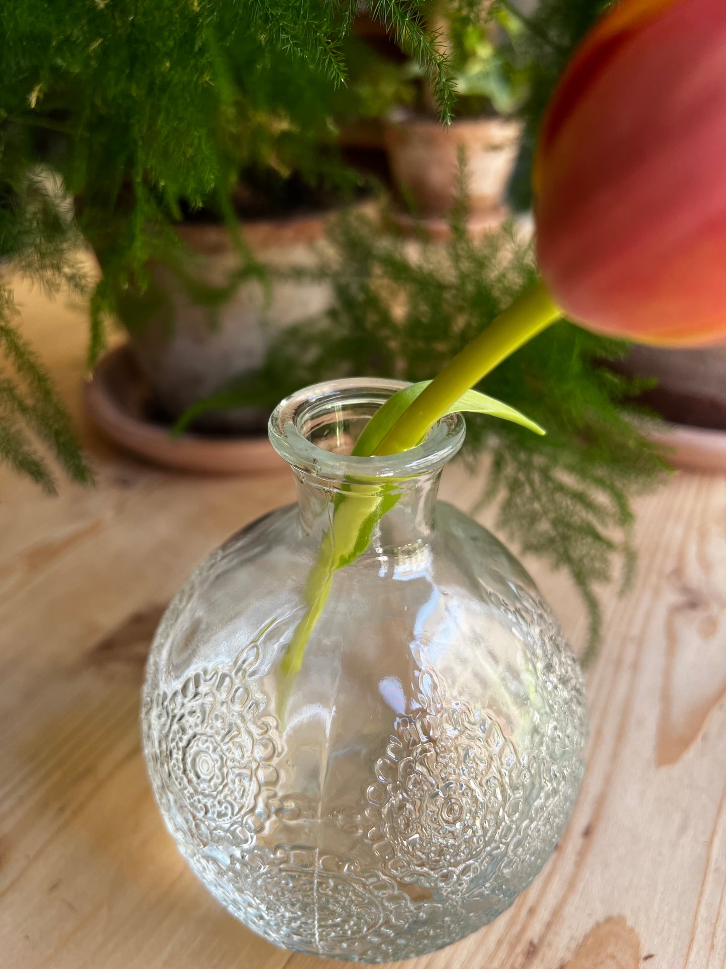 SOLIFLOR PRENSADO FLORES