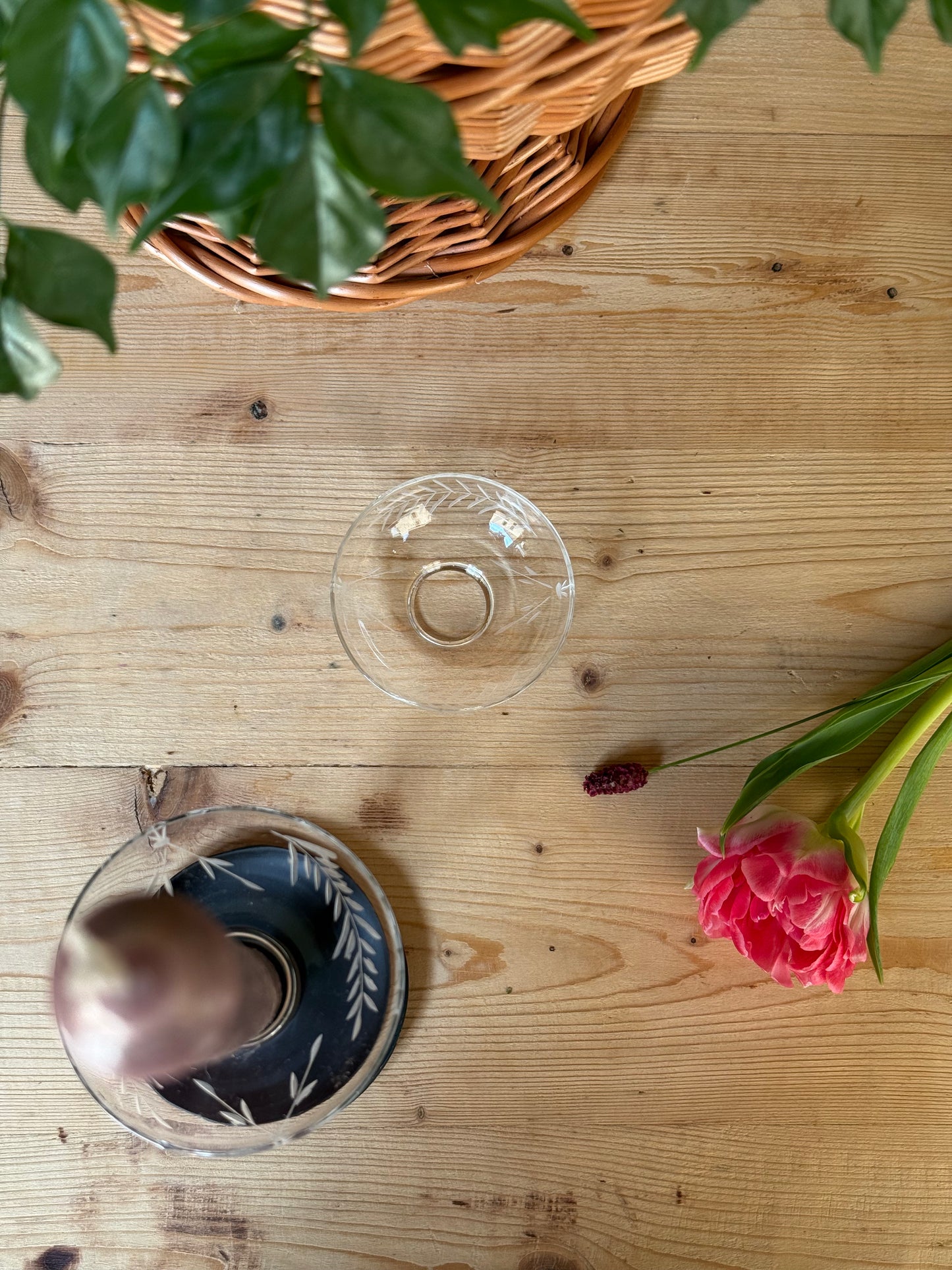 ANILLO PROTECTOR CERA CRISTAL - ramitas