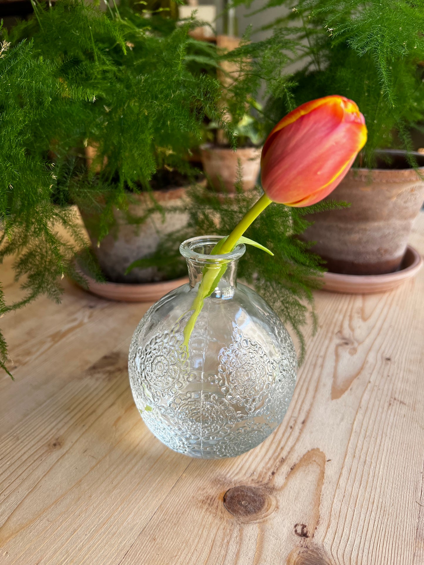 SOLIFLOR PRENSADO FLORES