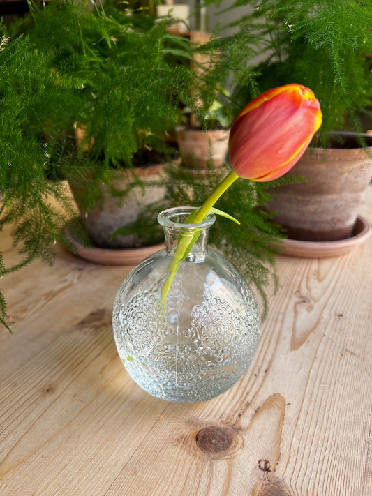 SOLIFLOR PRENSADO FLORES