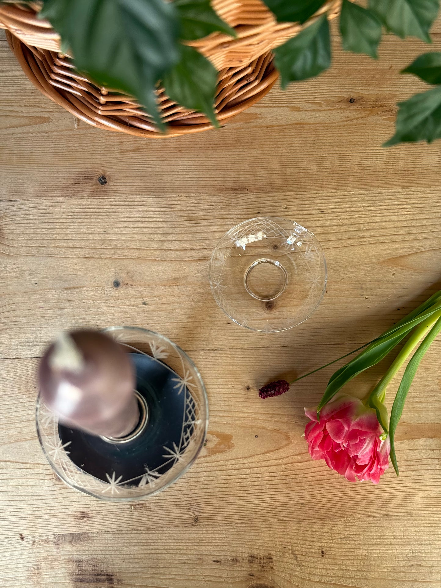 ANILLO PROTECTOR CERA CRISTAL TIPI